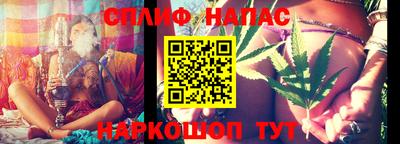 ECSTASY Гатчина