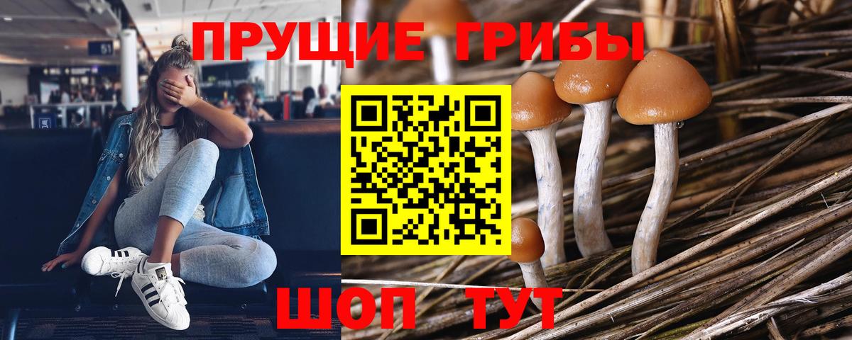 Галлюциногенные грибы мицелий Пугачёв