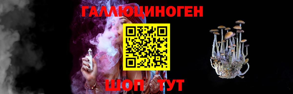 Пугачёв  Псилоцибиновые грибы Psilocybine cubensis  Вход с VPN 