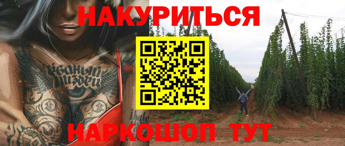 Конопля план  Бошки марихуана MAZAR  Шишки марихуана семена  Пугачёв  Вход с VPN 